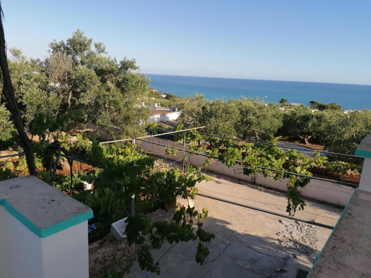 La Mennula Garden Διαμέρισμα Salignano  Εξωτερικό φωτογραφία
