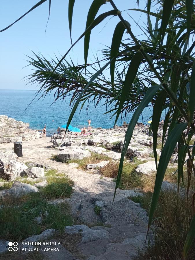 La Mennula Garden Διαμέρισμα Salignano  Εξωτερικό φωτογραφία